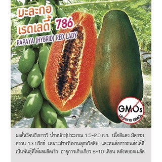 เมล็ดพันธุ์  มะละกอ เรดเลดี้ 786 - Papaya (Hybrid) ตราดอกแตง เมล็ดพันธุ์ เมล็ดผัก คุณภาพ "เพื่อนเกษตรกร"