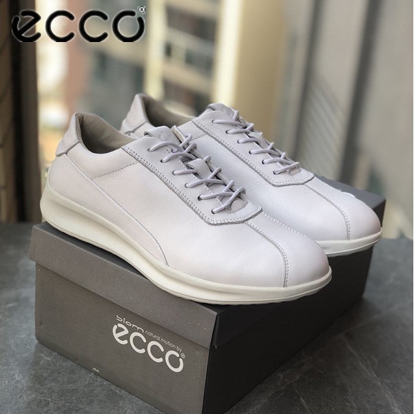 Ecco 207113 2024