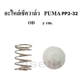 อะไหล่เช็ควาล์ว ชุดซ่อมเช็ควาล์ว PUMA PP-2  1/2 - 2แรงม้า  อะไหล่ปั๊มลม