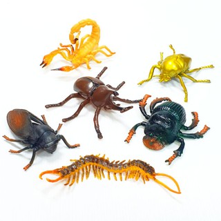 Big size insect set แมลงยางขนาดใหญ่ สัตว์ยาง แมลงยาง