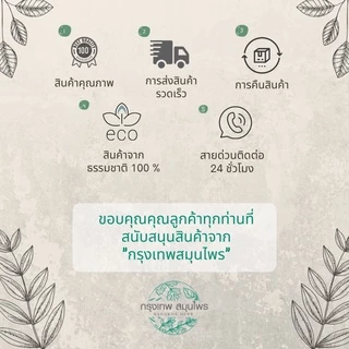 ผงขมิ้น (Turmeric powder) ขมิ้นผง ขนาด 1 กิโลกรัม
