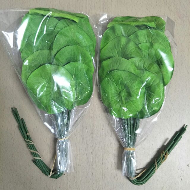 ใบบัวปลอม ใบบัวกระดาษสีเขียว ใช้ตกแต่งแจกันดอกบัว