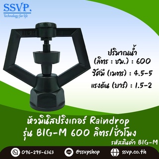 หัวจ่ายน้ำ Raindrop เกลียวใน ขนาด 1/2" และ 3/4" รุ่น BIG-M อัตราการจ่ายน้ำ 500 ลิตร/ชม. บรรจุ 10 ตัว