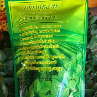 ชาเจียว​กู่หลาน แท้100% 100กรัม🌱🌱🌱 เจียวกู่หลาน Jiaogulan เกรดพรีเมี่ยม ใบใหญ่สวย