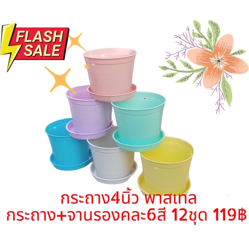 (พร้อมส่ง) กระถางสี กระถางพาสเทล กระถางต้นไม้ 4 นิ้ว ทรงกลม แพ็ค12ใบ คละ6สี ราคาถูก พร้อมส่ง!!! พร้อมจานรอง