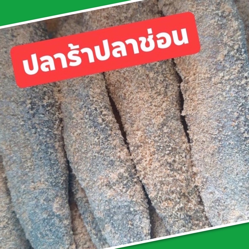 ปลาร้าปลาช่อนสิงห์บุรี บรรจุ 1 กก. (6-9 ตัว) สำหรับทอด หลน หอมข้าวคั่ว อร่อย ไม่เค็ม ใหม่ สะอาด มีหน