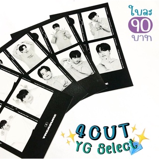 4CUT YG select การ์เด็กสมบัติ treasure 💎