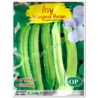 เมล็ดพันธุ์/เมล็ดถั่วพู Winged Bean ตราภูเขาทอง เมล็ดพันธุ์ถั่วพู ถั่วพู เมล็ดผักสวนครัว เมล็ดพันธุ์ผักทานตะวัน/มะละกอ/​