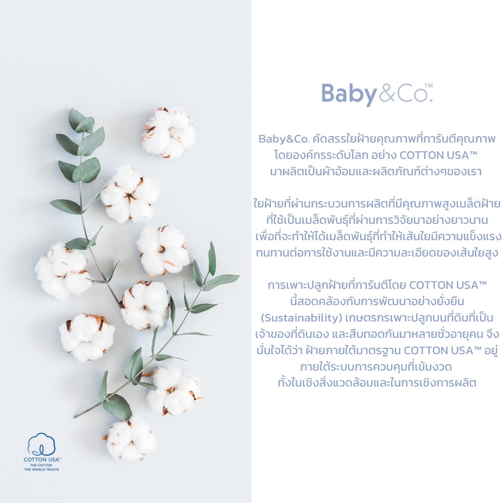 Baby  Co. (New Collection) Mittens and Socks เซตถุงมือ-ถุงเท้า บรรจุ 1 คู่/ชุดที่2