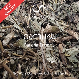 Onespice อังกาบหนู 250 กรัม | สมุนไพร อังกาบ แห้ง | Dried Barleria Prionitis / Porcupine flower | One Spice