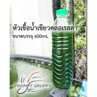 น้ำเขียวไรแดง คลอเรลล่า สำหรับเป็นอาหารไรน้ำ ไรแดง บรรจุในขวดเพ็ตขนาด 600ml จำนวน 1 ขวด