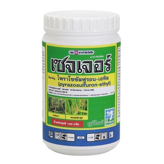 เซจเจอร์ ( 100 กรัม )