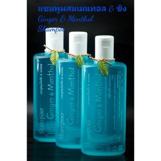 แชมพูผสมเมนทอล &amp; ขิง Ginger &amp; Menthol Shampoo