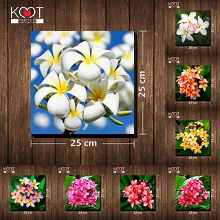 กรอบลอย ติดผนัง ภาพดอกไม้ ดอกลีลาวดี (ขนาด 25x25 ซม.)