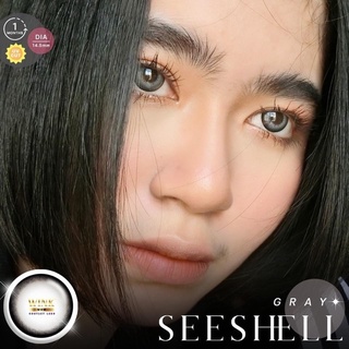 คอนแทคเลนส์🌈See shell🌈 Chestnut / Gray (Wink) ขนาดบิ๊กอาย💖ขายดี🍭