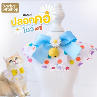 Dacha ปลอกคอแมว ปอกคอสัวต์เลี้ยง โบว์สดใส น่ารัก   CO620