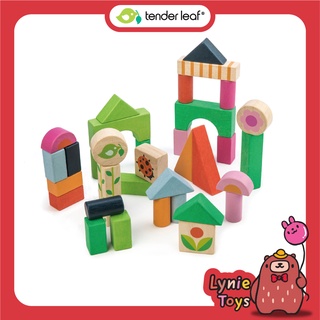 Tender Leaf Toys ของเล่นไม้ ของเล่นเสริมพัฒนาการ ชุดบล็อกคอร์ทยาร์ด Courtyard Blocks