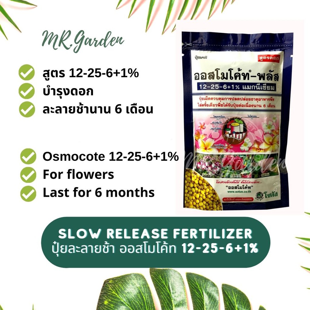 ปุ๋ยดอก ปุ๋ยเม็ดละลายช้า ออสโมโค้ส สูตรดอก 6 เดือน 100g. (Osmocote-plus) 12-25-6+1% magnesium