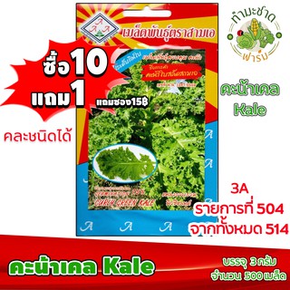 (ซื้อ10แถม1) เมล็ดพันธุ์ คะน้าเคล Curly Green Kale ประมาณ 500เมล็ด 3A สามเอ คะน้าใบหยิก คะน้าใบสลัด เคลใบหยิก ผักสวนครัว