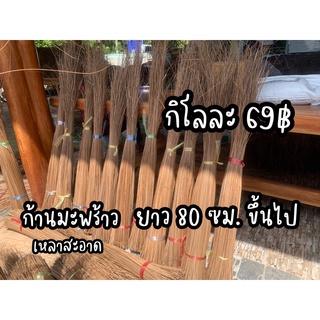 ก้านมะพร้าวเหลาสะอาดยาว80 ซม.ขึ้นไป
