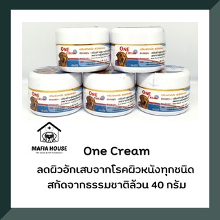 One Cream ครีมผิวหนังสุนัขและแมว 40 กรัม