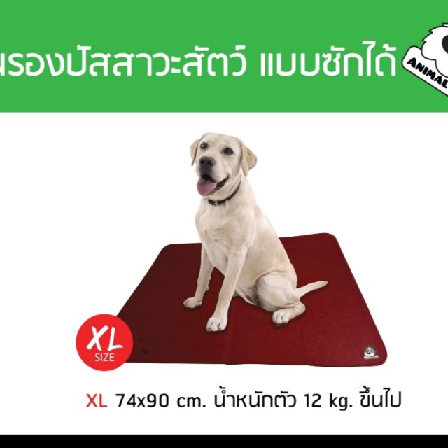 📢  แผ่นรองฉี่หมาซักแบบได้ไซร์ XL(Extra) 90x74 อย่างหนา ซึมซับมากกว่า