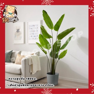 ต้นไม้ประดิษฐ์ IKEA ต้นปาล์ม Bird of paradise ไทรใบสัก ต้นไผ่ ต้นไม้ปลอม ของแต่งบ้าน artificial tree