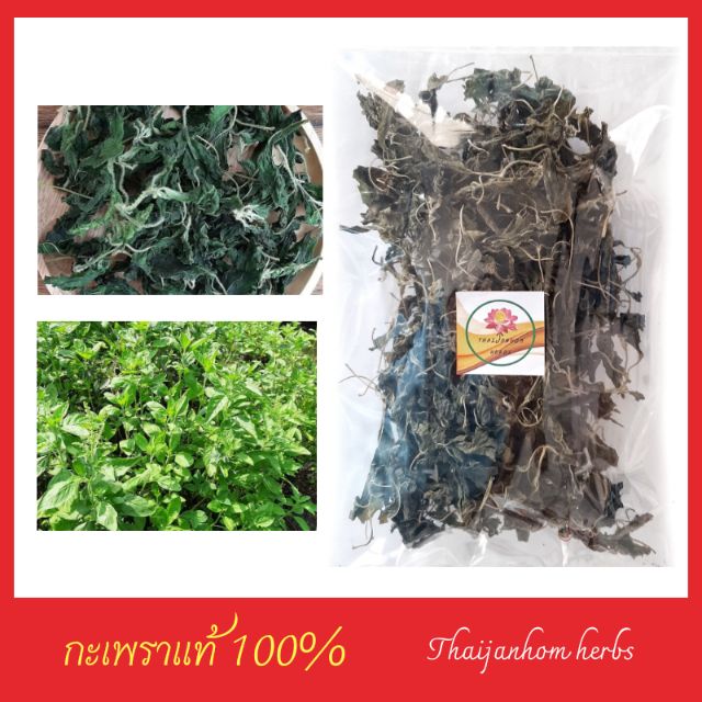 กะเพราอบแห้ง ใบกะเพรา กะเพราแห้ง กะเพรา เกรดสวย ขนาด 20 กรัม