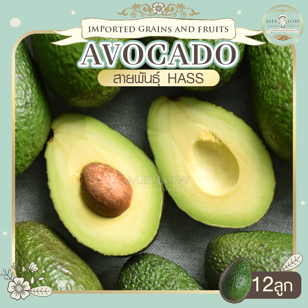 อโวคาโด จำนวน 12 ลูก อะโวคาโดแฮส avocado