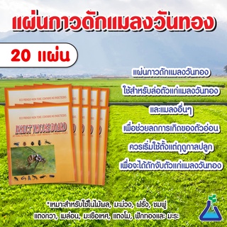 แผ่นกาวดักแมลง สีเหลือง (แมลงวันทอง) ขนาด 19 x 21.5 ซม.จำนวน 20 แผ่น ➕ดักแมลงวันทองได้ดีกว่า➕ดักด้วงเต่าแตง แมลงหวี่ขาว