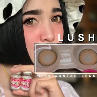 Wink lens (lush) ตาโต