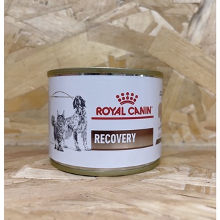 Recovery Royal canin อาหารกระป๋องสุนัขและแมว ป่วย