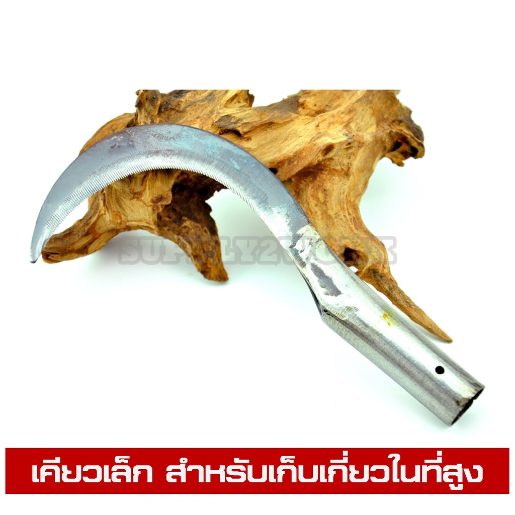 เคียว เคียวดีด เคียวเล็ก มีดพร้าเคียวสำหรับเก็บเกี่ยวผลผลิต ขนาด 9 นิ้ว