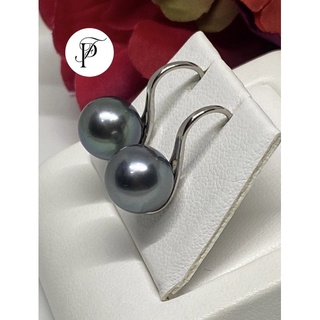 South sea Tahiti Pearl Earring✨ ตัวเรือนเงินแม้ suze 9 mm