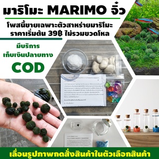 มีของพร้อมส่ง Marimo มาริโมะ จิ๋ว ของแท้ นำเข้าจากญี่ปุ่น 100% โพสนี้ขายเฉพาะตัวสาหร่ายไม่รวมขวดโหล