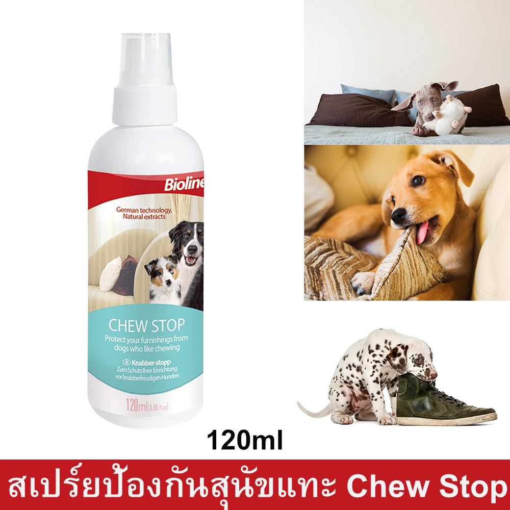 สเปร์ยป้องกันสุนัขกัดแทะ สเปร์ยกันฉี่ 120มล. (1ขวด) Bioline Stop Chew Dog Spray Natural Extracts Ant