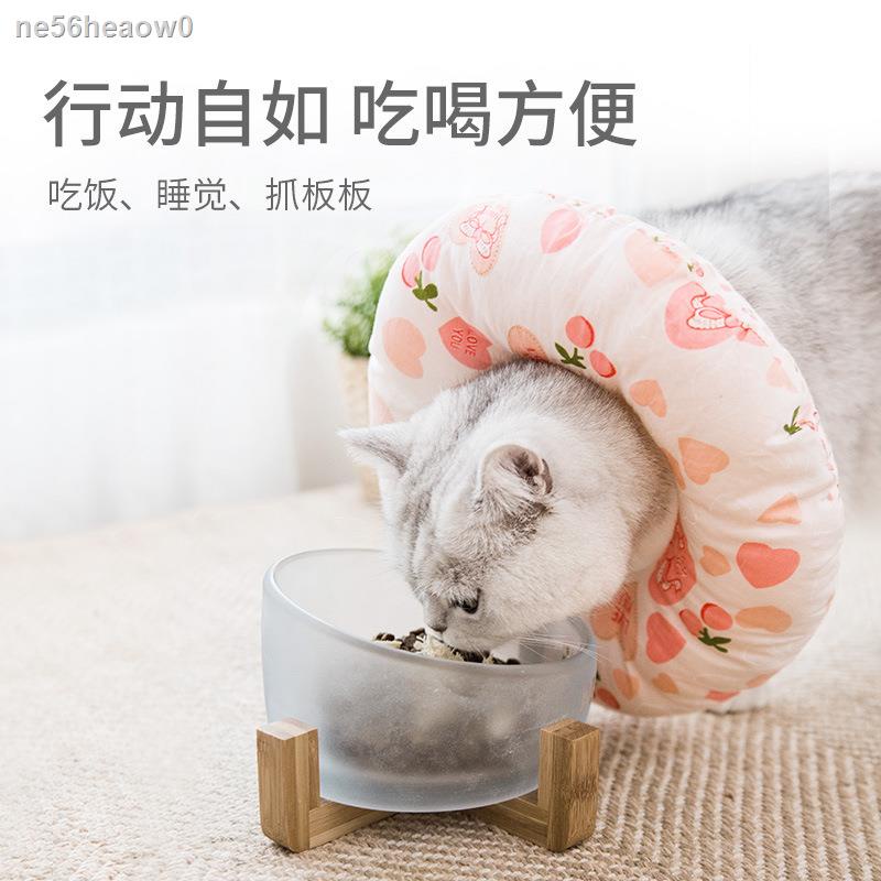 ۞ Pet cat Elizabeth circle kitten headgear blue cat collar antiscratch