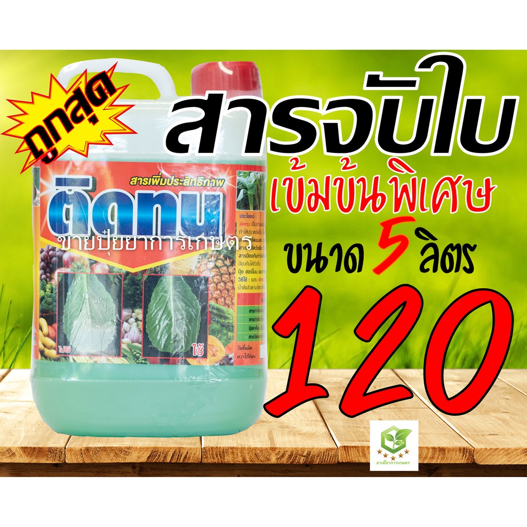 ยาจับใบ สารจับใบ ติดทน ขนาด 5 ลิตร จับดี สารจับใบ ยาจับใบ จับใบ แอ็ปซ่า แอปซ่า จับใบ