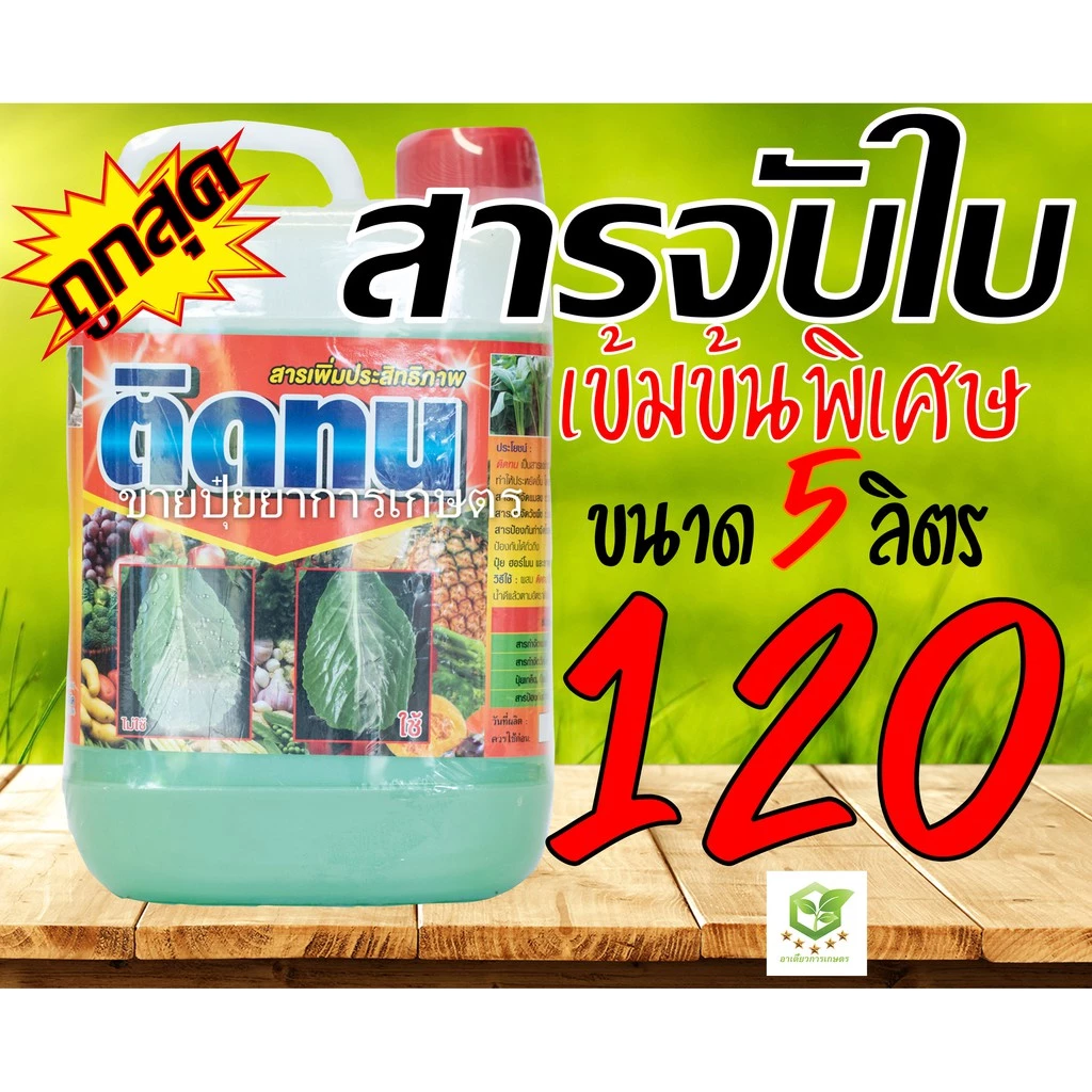 5 ลิตร ติดทน สารจับใบ ติดทน จับดี สารจับใบ ยาจับใบ จับใบ แอ็ปซ่า แอปซ่า จับใบ