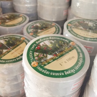 เทปพันกิ่ง LUCKY ลัคกี้เทป (Agricultural Tape) รุ่นเหนียวพิเศษ ยืดตัวได้ 5 เท่า เทปเพื่อการเกษตร ทาบกิ่ง ติดตา เสียบยอด