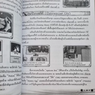 หนังสือบทสรุปเกม POKEMON HEARTGOLD & SOULSILVER [DS] [คู่มือเกม/เฉลยเกม/หนังสือเกม] [ใหม่]