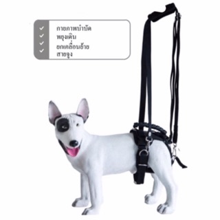 PetWell Harness ชุดช่วยพยุงเพื่อกายภาพบำบัด สำหรับสุนัขไซส์ M (เส้นรอบอก  47-57 ซม.)