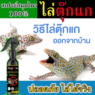 สเปรย์ไล่ตุ๊กแก 250 ml. ไล่ตุกแก ไล่ตุ๊กแกถาวาร ไล่ตุ้กแก สเปรย์ไล่จิ้งจก สเปรย์ไล่ตุ๊กแก ไม่เป็นอันตรายต่อคน