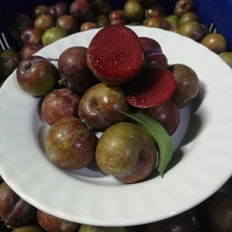 🍒 ลูก​พลัม​ ลูกไหนเนื้อแดง ปลอดสาร คละไซส์ 1 กก.ผลไม้สด จากดอยอ่างขาง เชียงใหม่