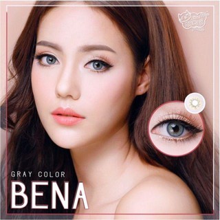 1 คู่ บิ้กอายตาโต สีเทา สายฝอที่แท้ทรู สวย ในตาละมุล  รุ่น Bingsu Gray/Bena Gray by Wink 14.2 สายตาปกติ