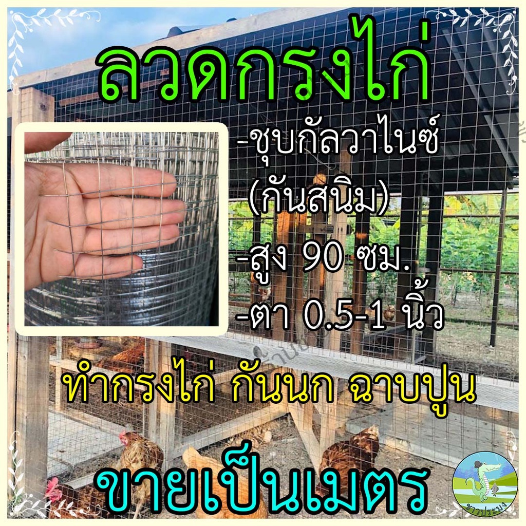 ตาข่ายลวด ขายเป็นเมตร ขนาดตา 1/2,3/4,1 นิ้ว สูง 90 เซน กรงไก่ ลวดเหล็ก รั้วตาข่าย กันนกพิราบ งู