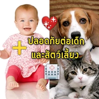 🦟สเปรย์​กันยุง"ตะไคร้หอม" ขวดใหญ่ ออแกนิก🍃
