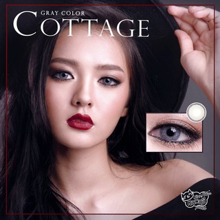 Kitty Kawaii Contact Lens คอนแทคเลนส์ สีเทา ค่าสายตา รุ่น Cottage Gray