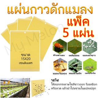 แผ่นกาวดักแมลงสีเหลือง แพ็ค 5แผ่น ขนาด15x20 เซนติเมตร