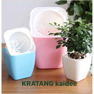 KRATANG kaidee กระถาง​รด​น้ำ​อัตโนมัติทรงเหลี่ยม กระถางต้นไม้​ แบบ​เก็บ​น้ำ​ได้​ รด​น้ำ​อัตโนมัติ